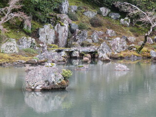 rocks in the garden 