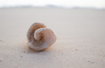 Espiral