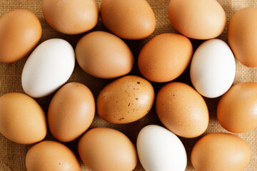 Eggs with brown and white colors as background.