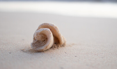 Espiral