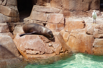 What are you guys looking at?