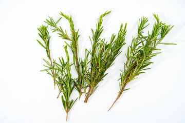 Fresh rosemary branches on a white background Food concept. Aerial view.