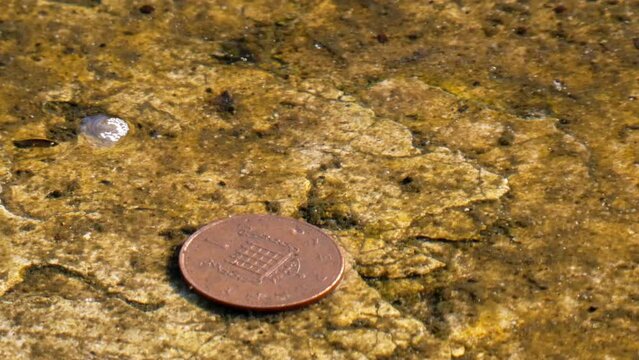 Small Copper British Penny Coin Sitting In Wishing Well Rippling Water Fountain Superstition Luck Spell