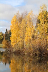 autumn trees reflected in water