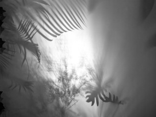 Close-up, the leaves shadow from canvas.