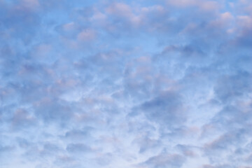 Blue sky background with white pink clouds at sunset