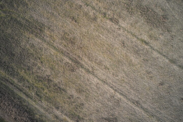 Dry field top view. Mowed field plantation aerial view. Texture of dry grass top view.