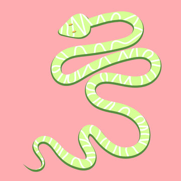 Vector image of a green snake gliding in action. Cute, funny snake.