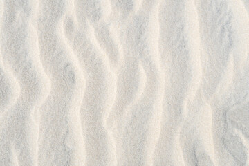 Naklejka na ściany i meble wavy curved random nature pattern of wind blown sand surface with sunlight and shadow in the thin grooves of top ground layer on dunes and beach, hot to the touch under uv rays in summer 