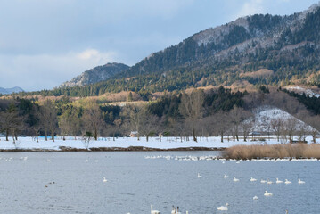 Mountains and swans, 2022/1/21