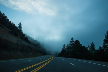 foggy Freeway through the coniferous forest, usa