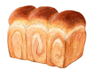 3連山形食パン　手描きアナログイラスト