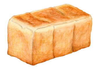 食パン　手描きアナログイラスト