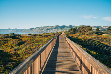 Fototapeta na wymiar Wooden boardwalk through several diverse natural habitats for viewing flora and fauna, Oceano, California