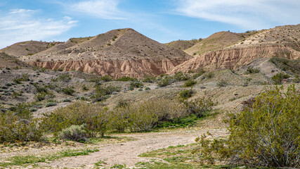 Mojave Trailhead