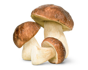 three cep on isolated white background