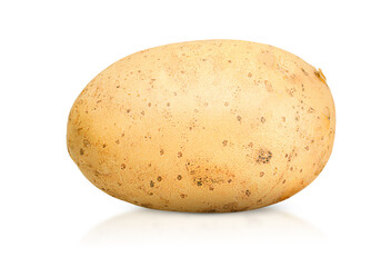 one potato on a white isolated  background