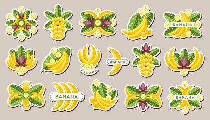 Set of stickers with with yellow bananas, banana leaves, flowers, slices. Isolated vector illustration. Good for decoration of food package