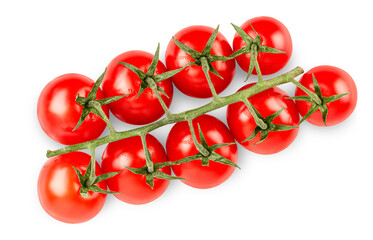 twig with cherry tomatoes on isolated white background, top view