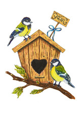 Sketch on a spring theme. Birdhouse with two tits on a branch with blossoming leaves
