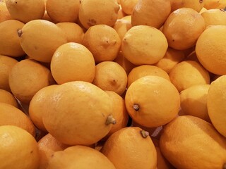 Fresh lemon orange fruit sold in the market	