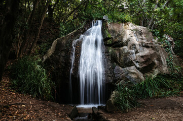 Landscape. A small fast waterfall in the wild picturesque nature. Forest, park