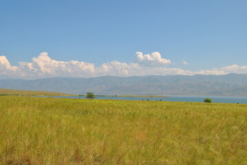 Fototapeta na wymiar Seascape. Beautiful lake shore. Gentle clouds and blue water surface. Bukhtarma reservoir.