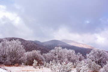 Winter in the mountains