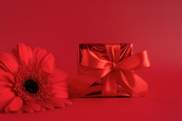 gift box with ribbon, gerbera flower on red background.  valentines day, birthday party, love concept. greeting card. closeup
