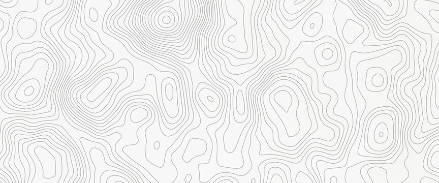 Vector contour topographic map background. Topography and geography map grid abstract backdrop, Vector illustration of topographic line contour map,  Linear graphics. Vector illustration, 
