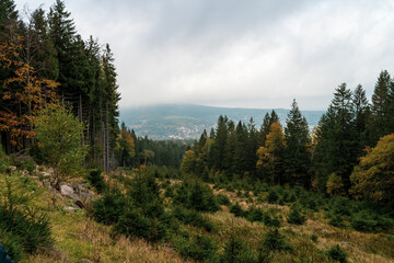 Autumn forest landscape in the Giant Mountains near the town of Karpacz.