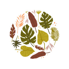 Tropical palm leaves. Jungle spirit. Isolted fern, monstera and other leaves.