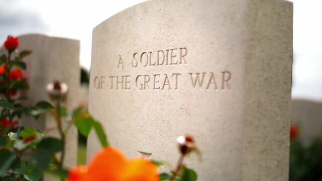Headstone Grave closeup at a War Memorial Cemetery amongst a beautiful Green Garden with Red Roses in Ypres Beglium, sliding handheld shot.