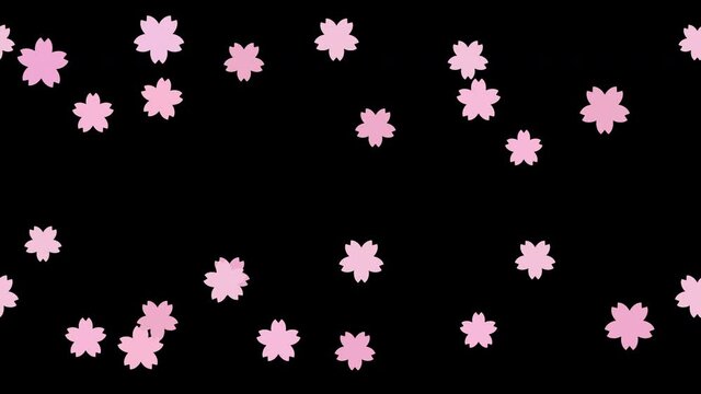 流れる桜のアニメーション 黒背景