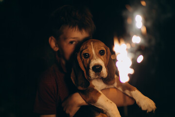 Caucasian boy and dog (beagle puppy) looking at bengal lights. Boy hugs his puppy. Evening event on...