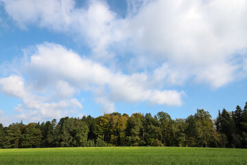 Waldrand bei Wiese mit blauem Himmel, leicht bewölkt, Mischwald, herbst