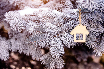 symbol of the house stands on a snow-covered fir branches
