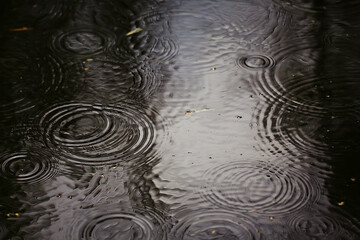rain puddle circles, aqua abstract background, texture autumn water