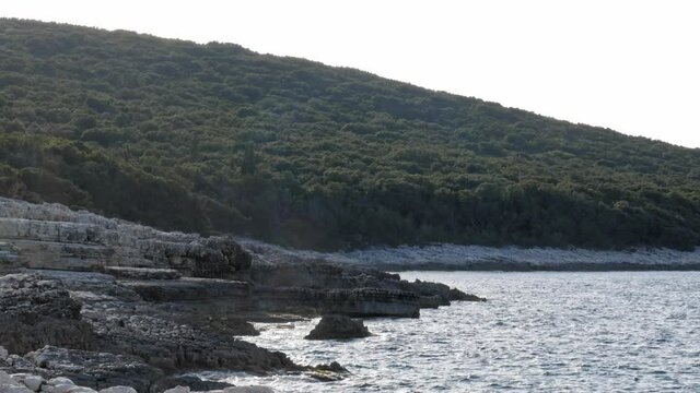Lush Vegetation And Rocky Coast Of Alexia Beach In Greece - static shot