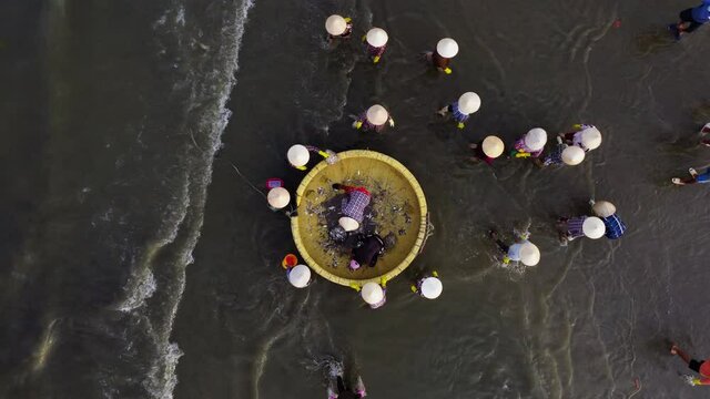 Aerial top down view of Vietnamese people with typical rice hat cleaning coracle boat. Vietnam