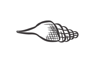 conch shell illustration on black and white colors. isolated on horizontal white background.
