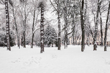 Winter park with trees, cameoes and pavement covered with snow after a snowfall.