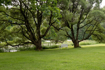 Fototapeta na wymiar White wooden bench in the park