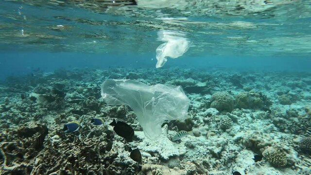 Plastikmüll treibt in einem Riff und verschmutzt die Umwelt