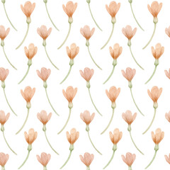 Watercolor pattern with pink crocuses and leaves on a white background.