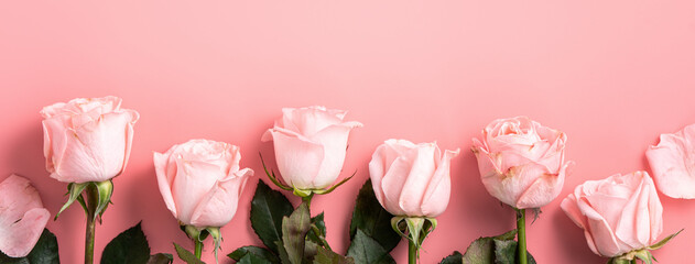 Valentine's Day design concept background with pink rose flower on pink background.