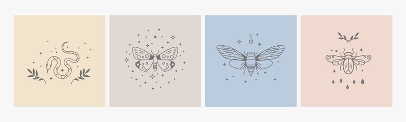 Boho logo design. Geometry line insects, mystic symbols with stars. Magic delicate style icons, bohemian prints. Nature snake, beetle, butterfly, decorative vector design