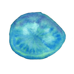 Watercolor fish scale, blue stains. Ocean and sea fish. Squama for seafood restaurant. Hand drawn logo, circle and oval shape. Raster stock illustration, isolated on white background.