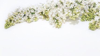 Floral pattern made of white lilac blossoms and petals on white background. Flat lay, floral white frame. Selected focus, copy space