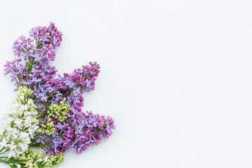 Floral pattern made of white and purple lilac blossoms and petals on white background. Flat lay, floral white and purple frame. Selected focus, copy space